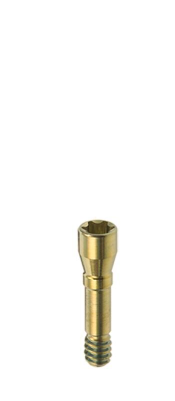 produkt basisschraube bone level bl nc l 79mm 22043